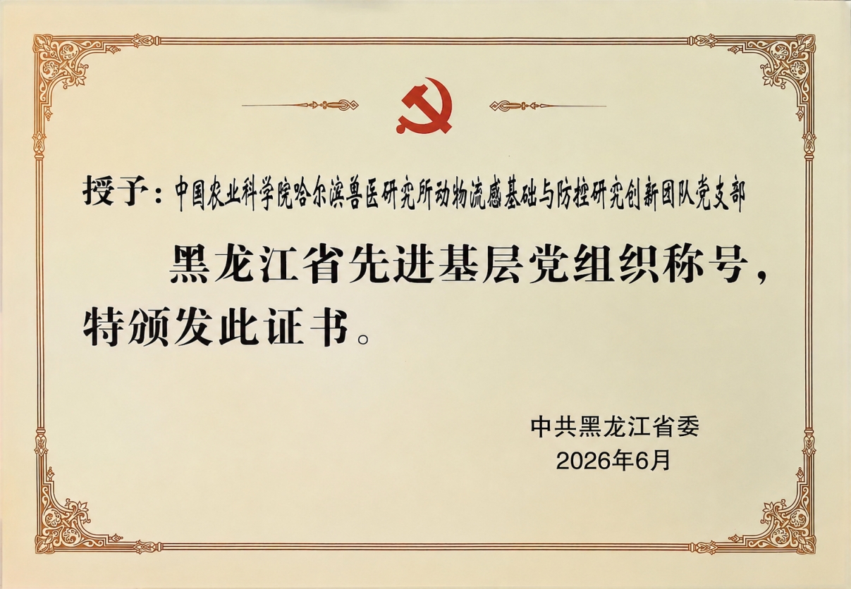 证书_副本.jpg