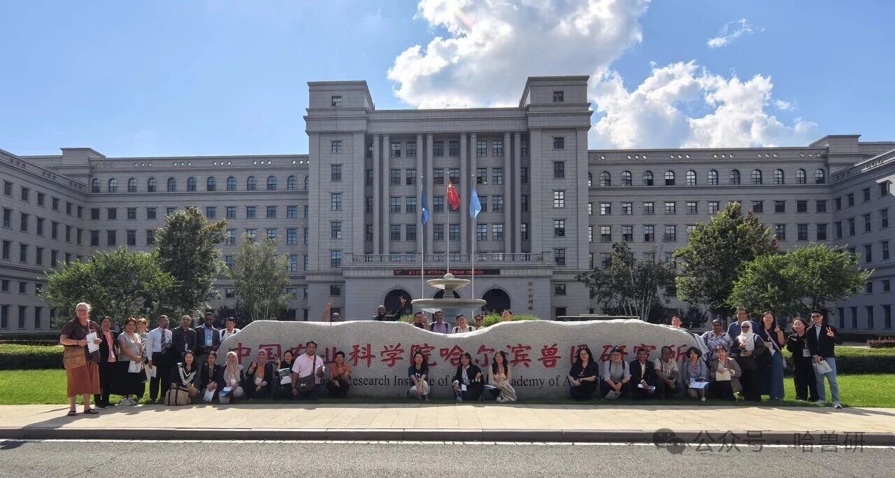龙2.jpg